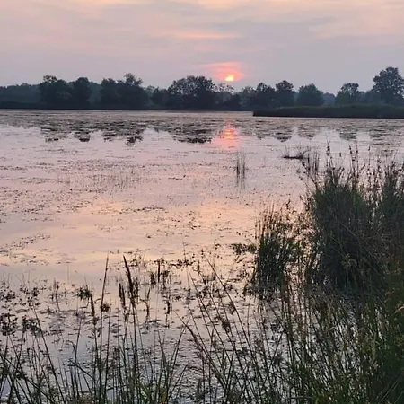 Le Domaine Du Pin