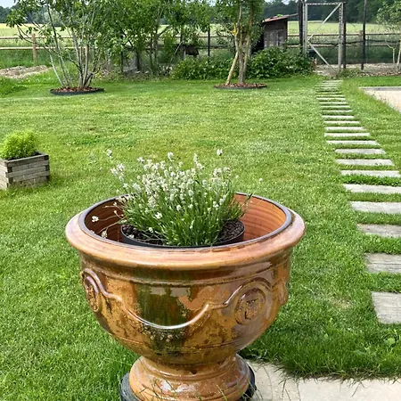 Le Domaine Du Pin Couette-café Châtillon-sur-Chalaronne