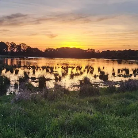 Le Domaine Du Pin * Châtillon-sur-Chalaronne