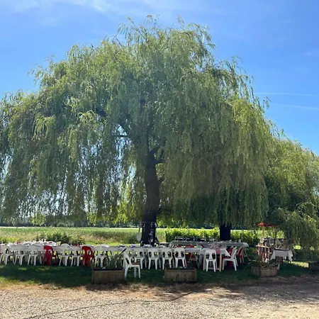 Le Domaine Du Pin * Châtillon-sur-Chalaronne