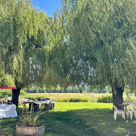 Le Domaine Du Pin *